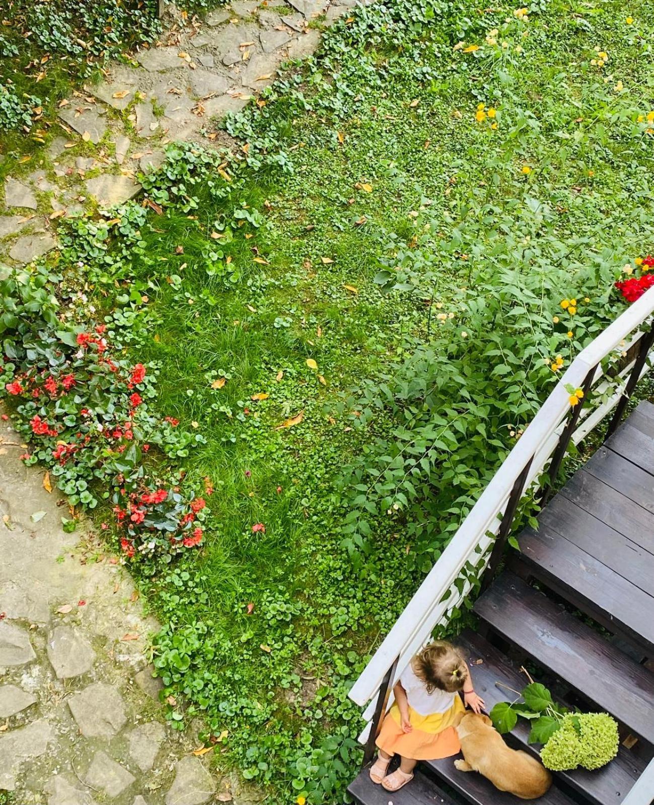 Rapsodia Pension Sučava Exteriér fotografie