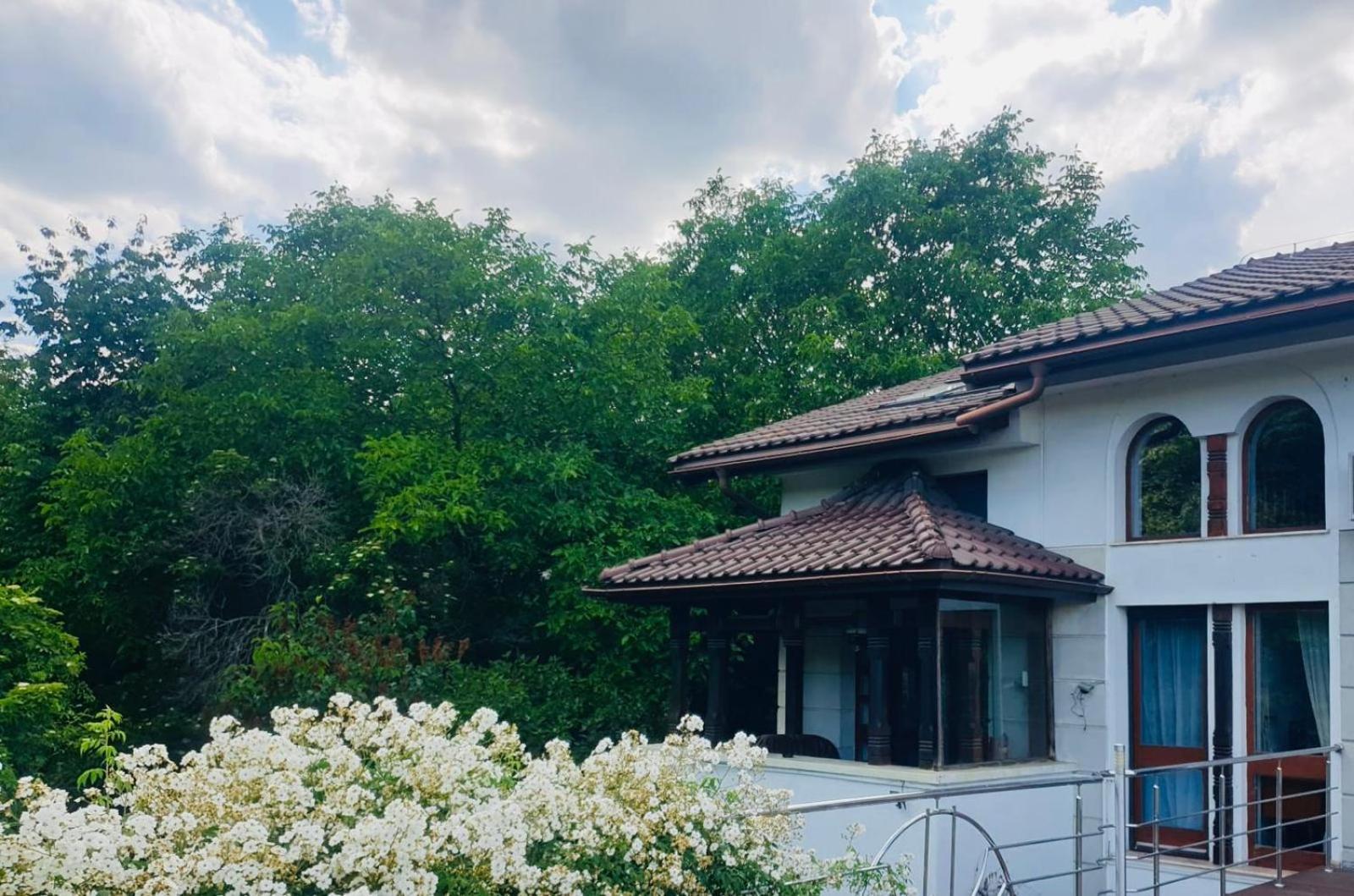 Rapsodia Pension Sučava Exteriér fotografie