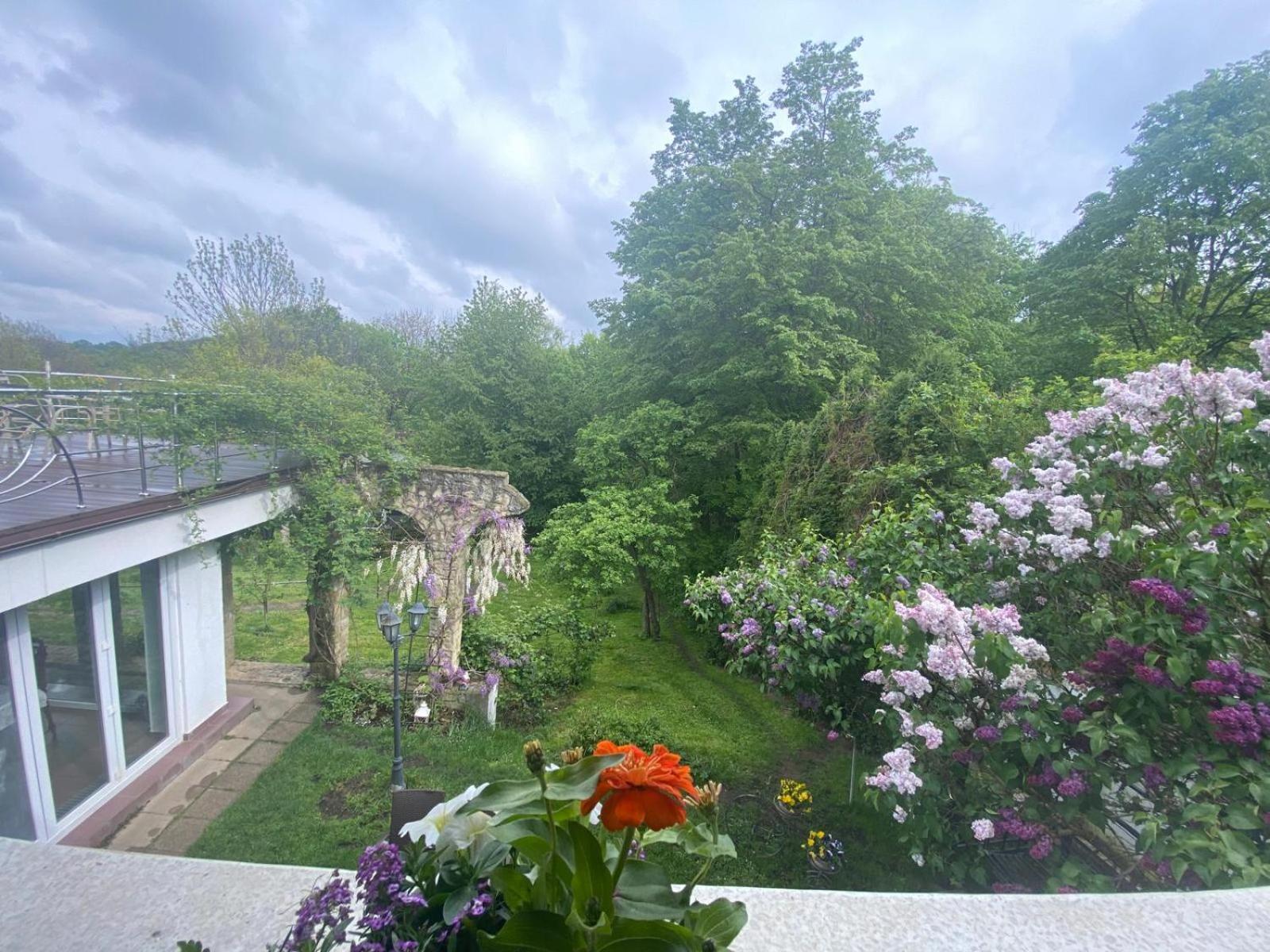 Rapsodia Pension Sučava Exteriér fotografie