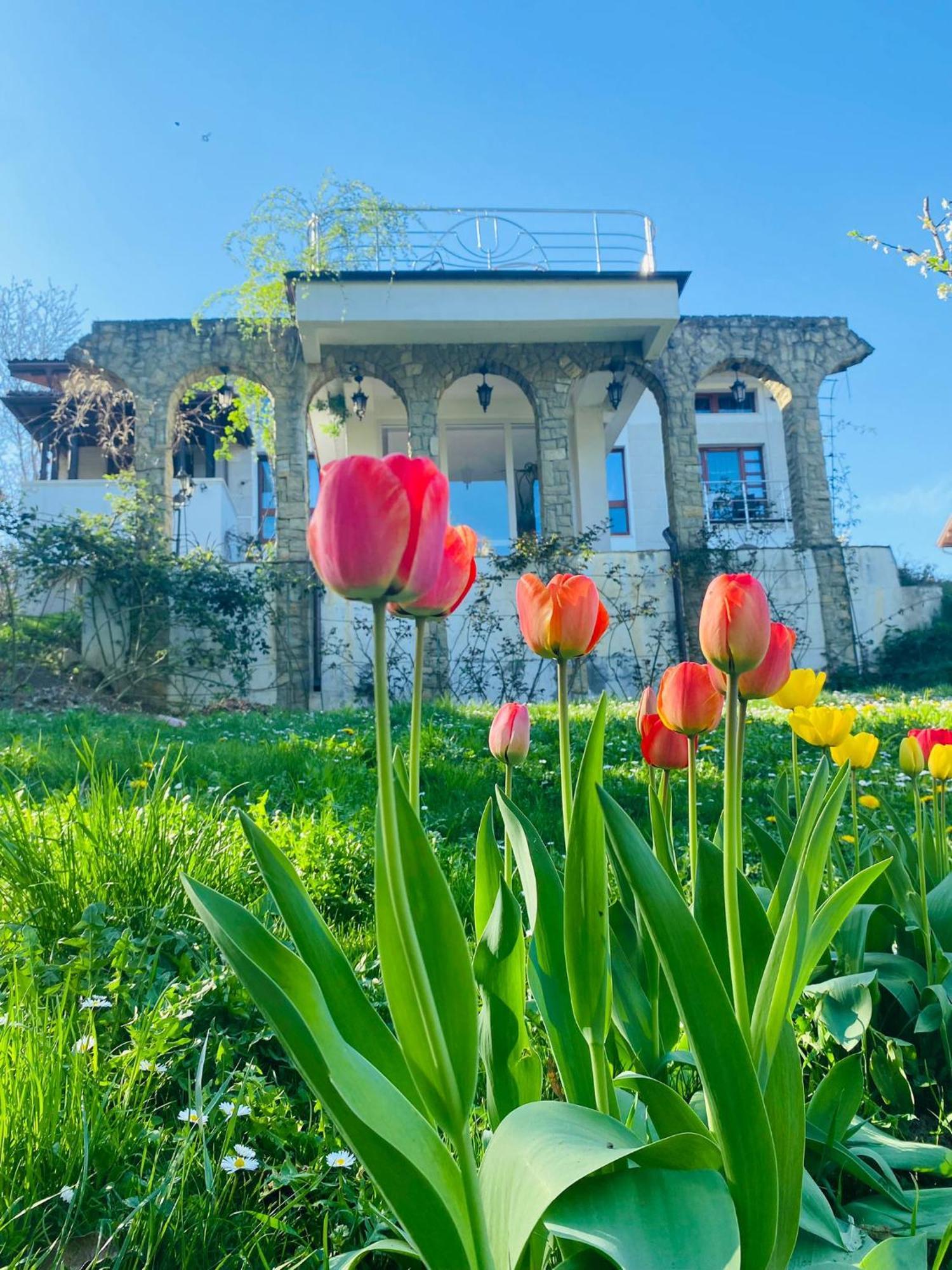 Rapsodia Pension Sučava Exteriér fotografie
